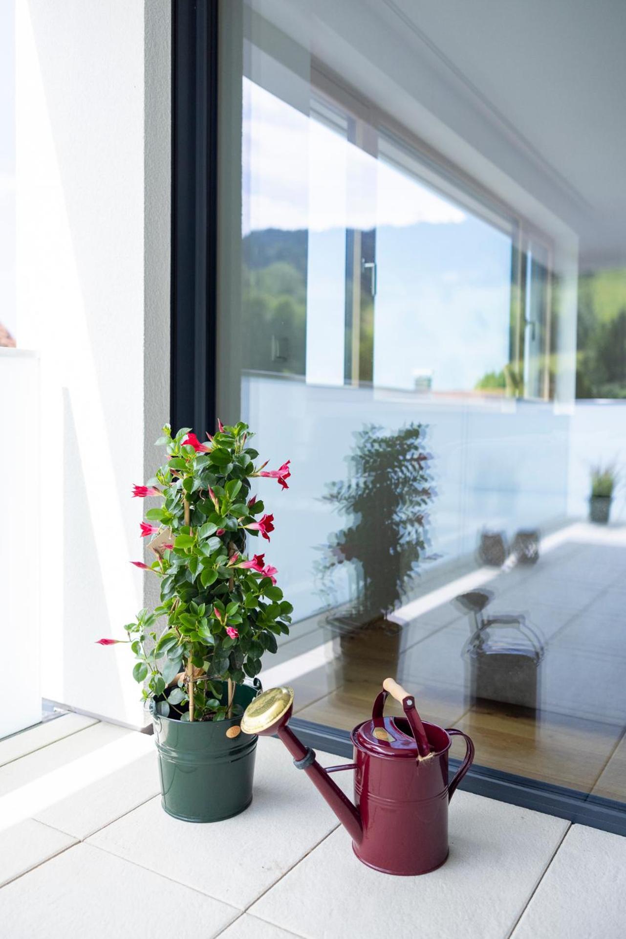 Bodensee Bergblick Suite Lochau Luaran gambar